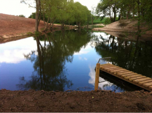 pond and lake construction