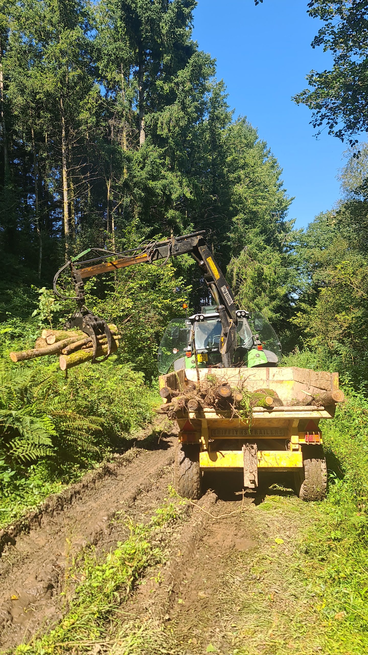 Firewood and log transport