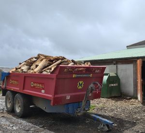 Biomass logs being delivered in bulk